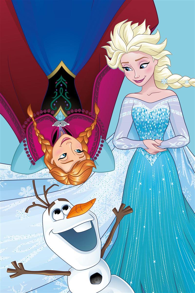 DISNEY DIMcol ΠΕΤΣΕΤΑ DISNEY FROZEN 97 40X60 Digital Print