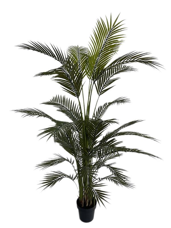 NewPlan PALM TREE NP160_210_UV ΥΨΟΣ 210cm NewPlan