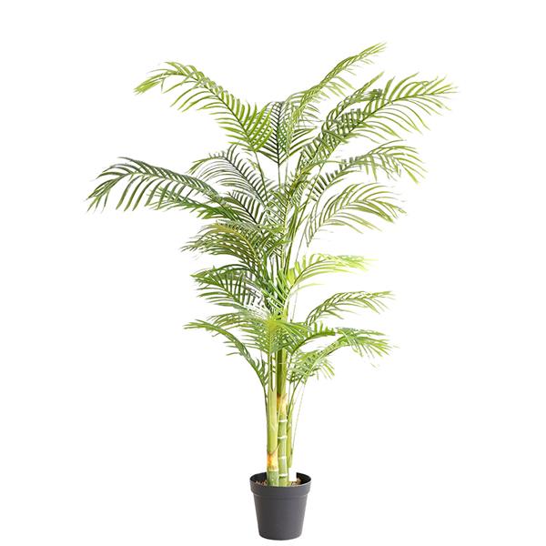 NewPlan PALM TREE NP5506_180_22 ΥΨΟΣ 180cm NewPlan