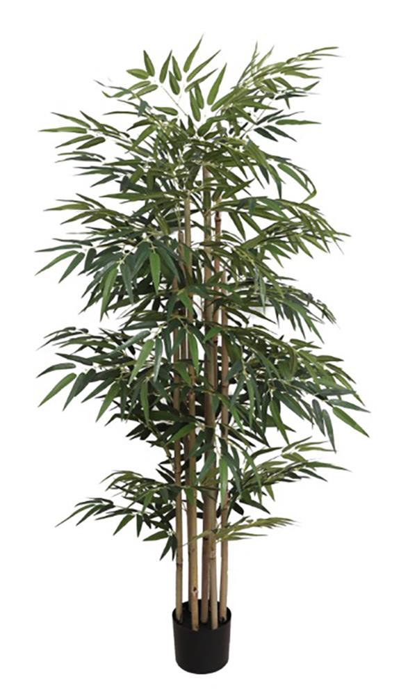 BAMBOO NP828_210_UV ΥΨΟΣ 210cm NewPlan φωτογραφία