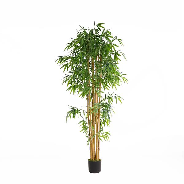 BAMBOO NP0076_210 ΥΨΟΣ 210cm NewPlan φωτογραφία