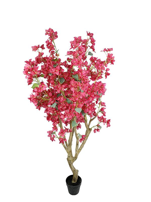 NewPlan BOUGAINVILLEA NP0422_170 ΥΨΟΣ 170cm NewPlan