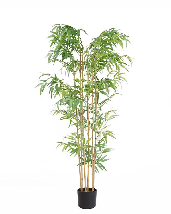 BAMBOO NP5801_150_22_UV ΥΨΟΣ 150cm NewPlan φωτογραφία