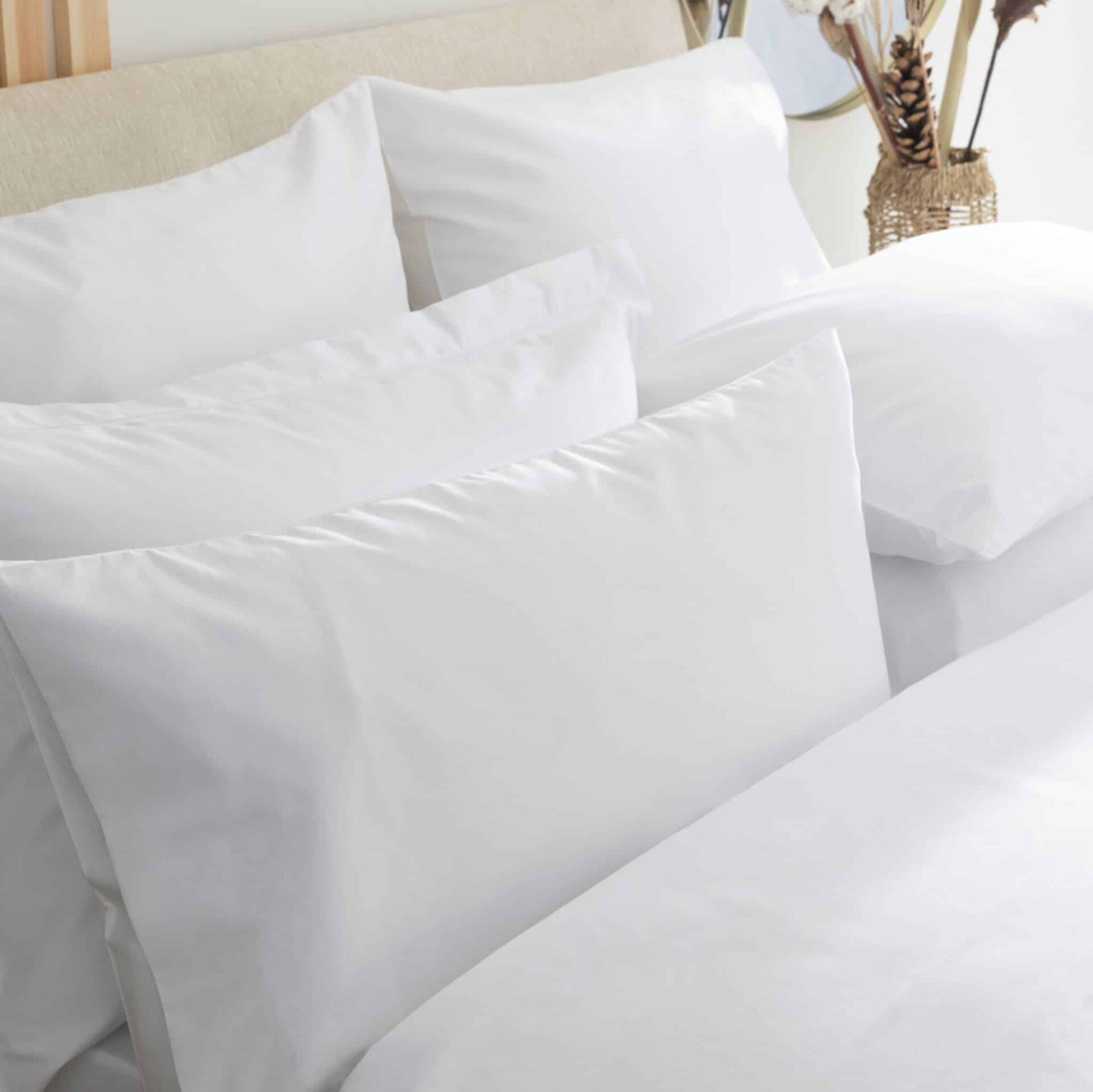 Astron Italy Σεντόνι Ξενοδοχείου 160x250 80%cotton 20%polyesters Percalle 144tc - Astron Italy